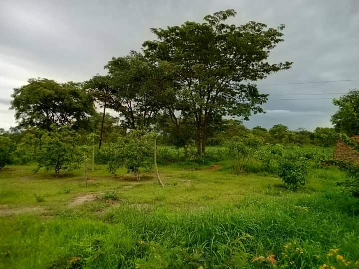 Property Thumbnail