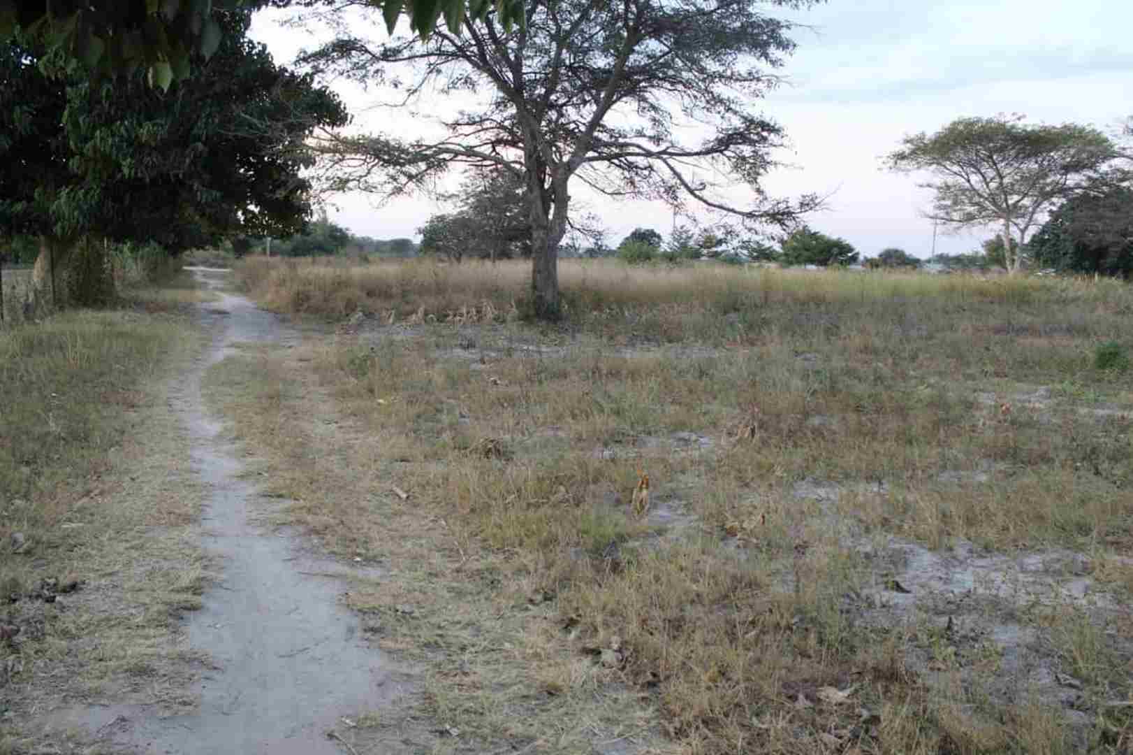 Property Thumbnail