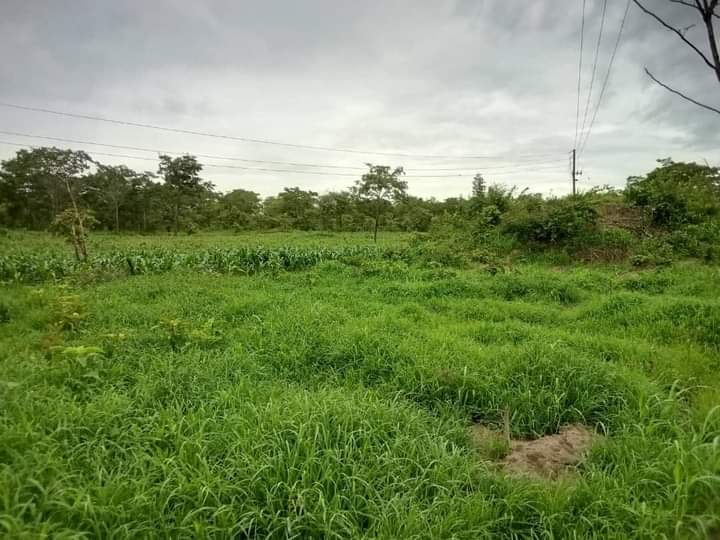 Property Thumbnail